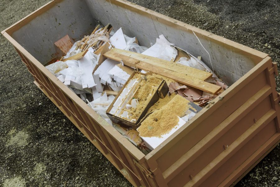 Dionisio Ruiz residuos 2