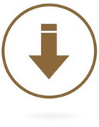 Dionisio Ruiz reducir