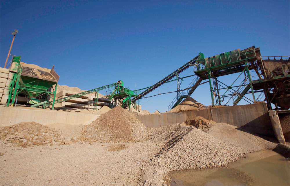 Dionisio Ruiz plantas