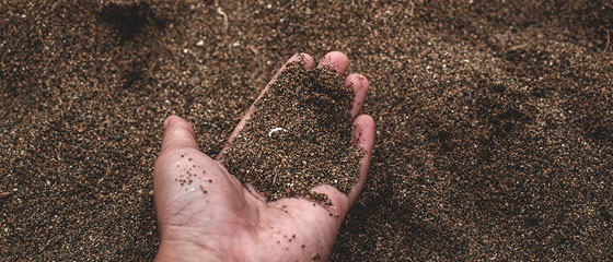 Dionisio Ruiz valoración